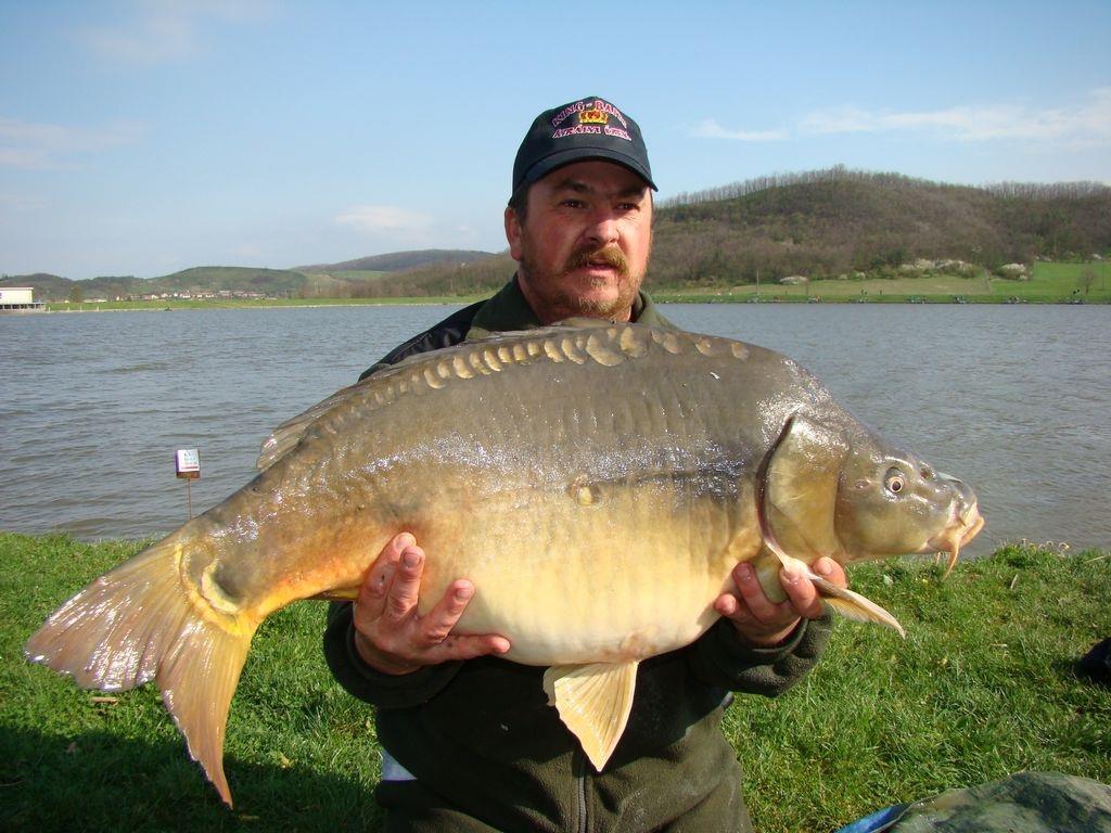 Cipibaits - 00104514.jpg